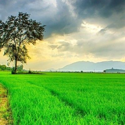 Aadesh Lucknowkar Profile