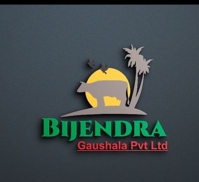 Startup Logo