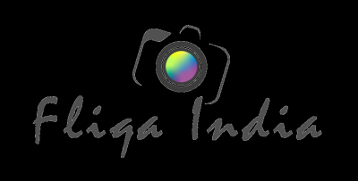 Startup Logo
