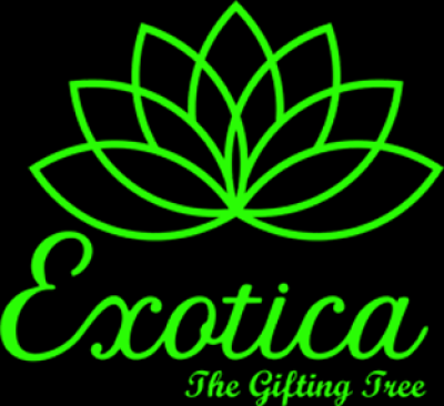 Startup Logo