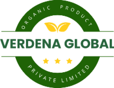 Startup Logo