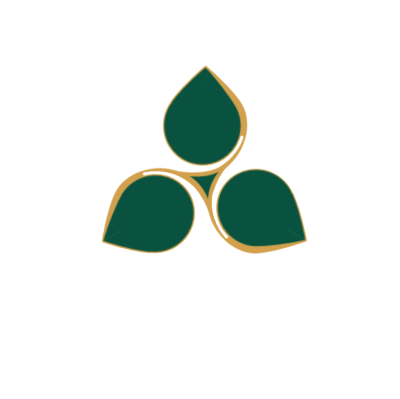 Startup Logo