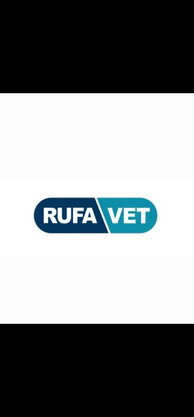 Startup Logo