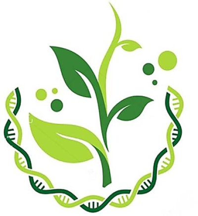 Startup Logo