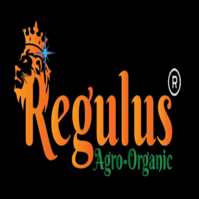 Startup Logo