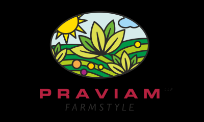 Startup Logo