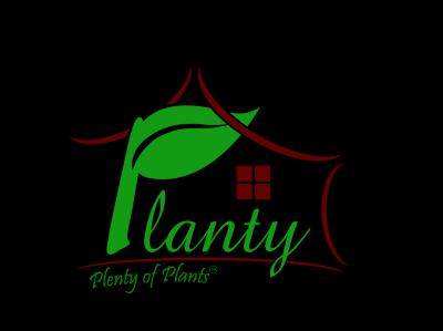 Startup Logo