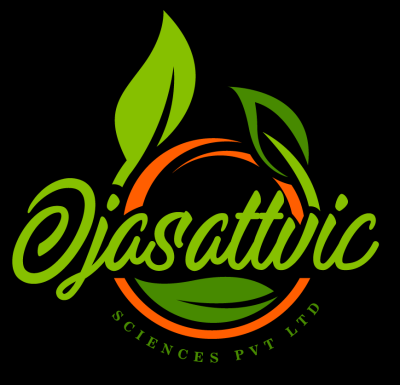 Startup Logo