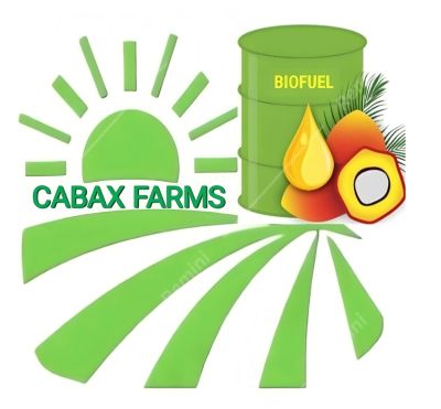Startup Logo