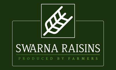 Startup Logo