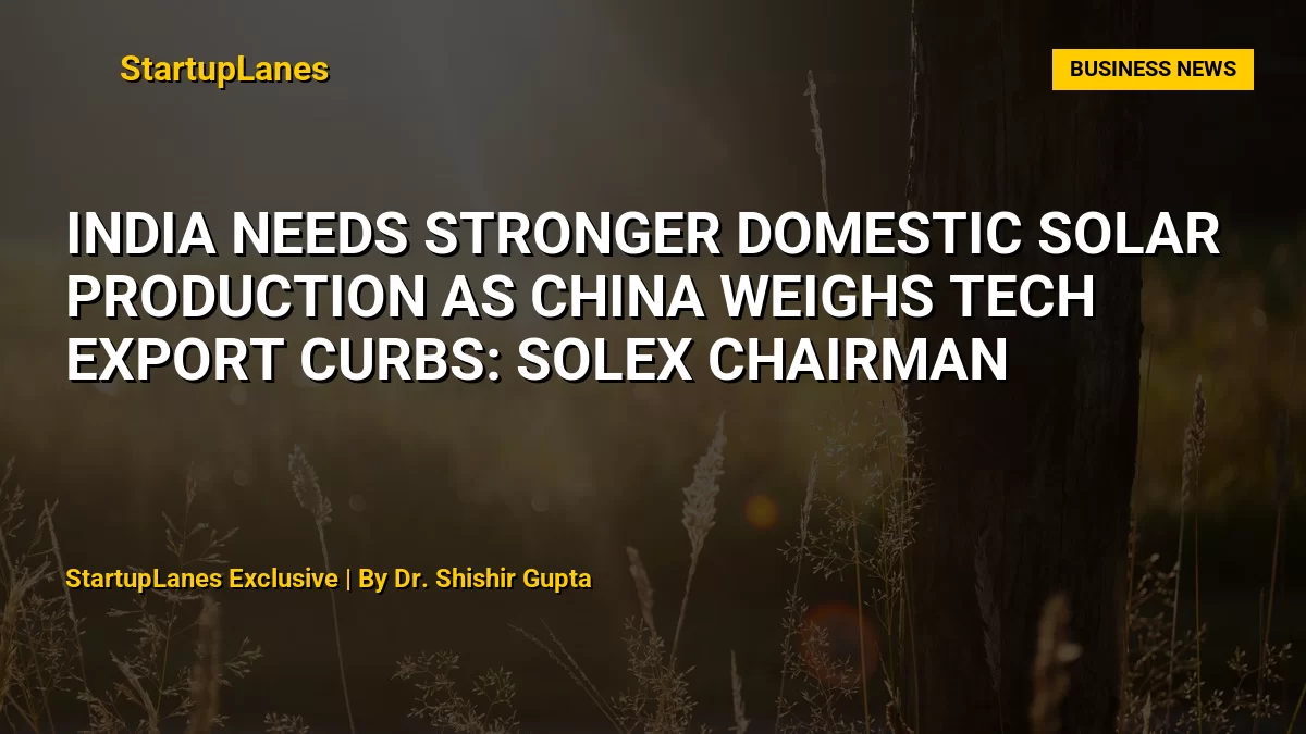 India Needs Stronger Domestic Solar Production as China Weighs Tech Export Curbs: Solex Chairman