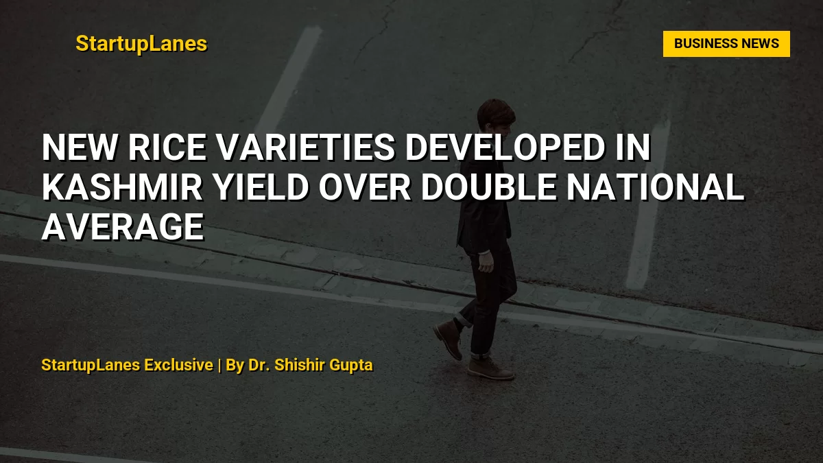 New Rice Varieties Developed in Kashmir Yield Over Double National Average