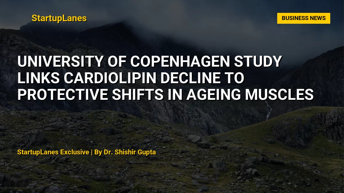 University of Copenhagen study links cardiolipin decline to protective shifts in ageing muscles