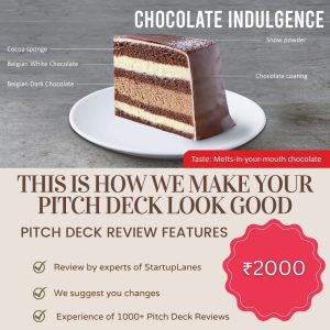 Pitch Deck Review Image